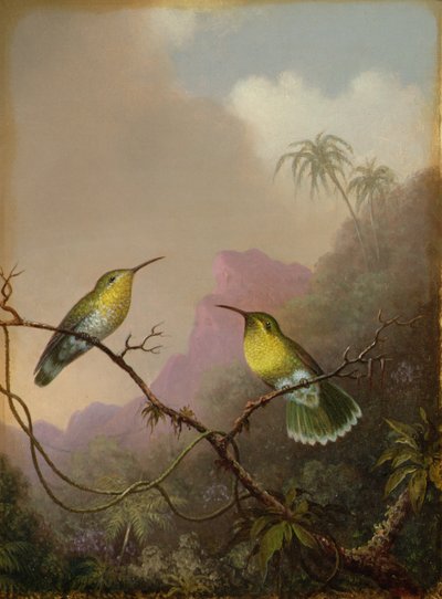 Two Hummingbirds, c.1865-75 by Martin Johnson Heade